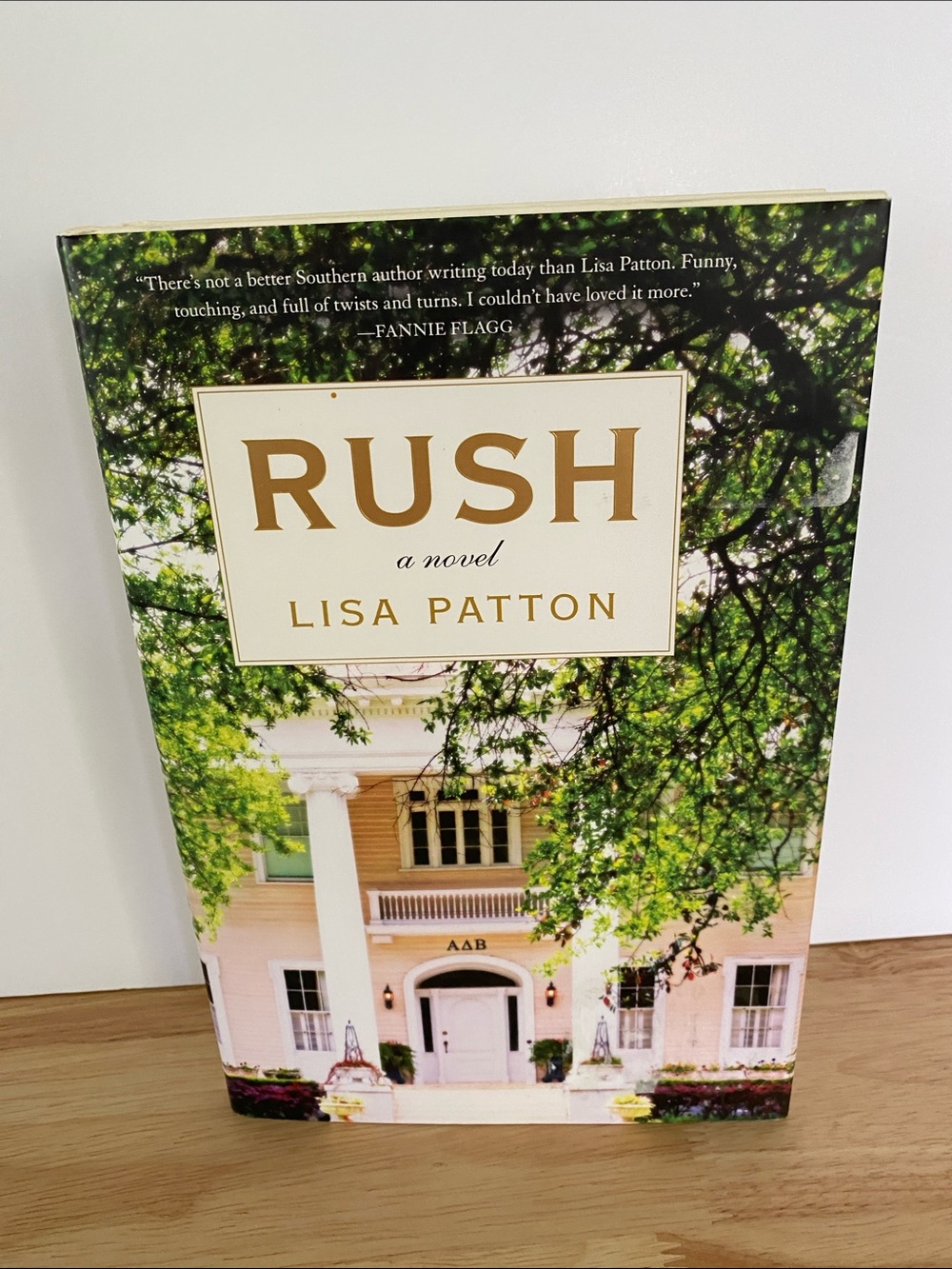 Rush A Novel by Lisa Patton Hardcover Fiction Bestselling Must-Read - Picture 8 of 8
